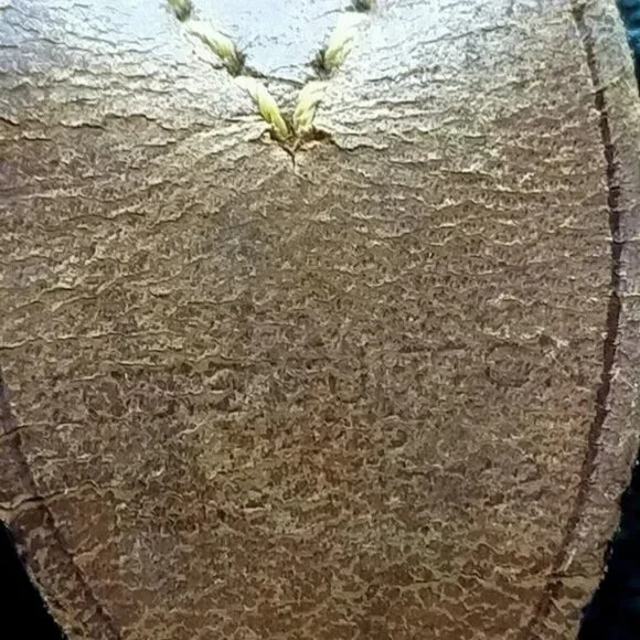 Louis Vuitton LV Boston Bag Keepall 55 Browns Monogram - Picture 6 of 10